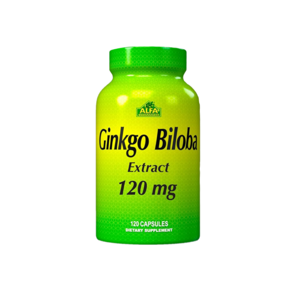Ginkgo Biloba 120mg 120cap