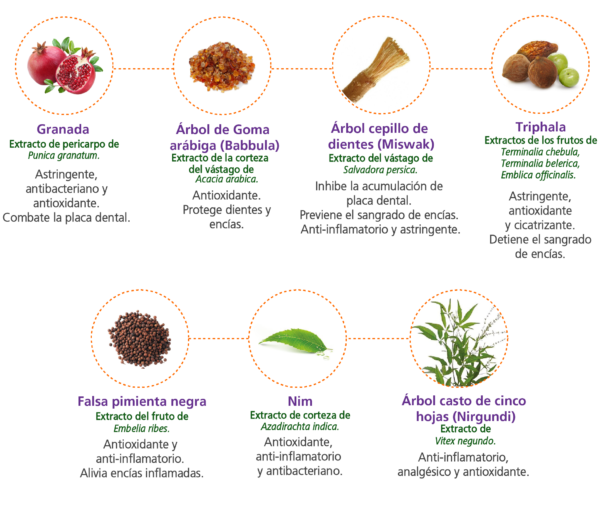 Crema Dental Cuidado Completo