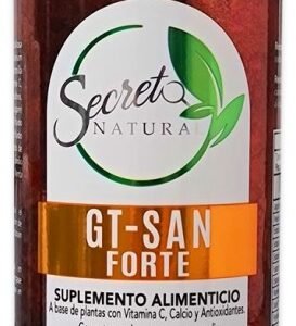Gt-San Forte