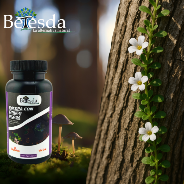 Bacopa con Ginko Biloba