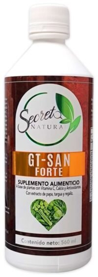 GT-San Forte